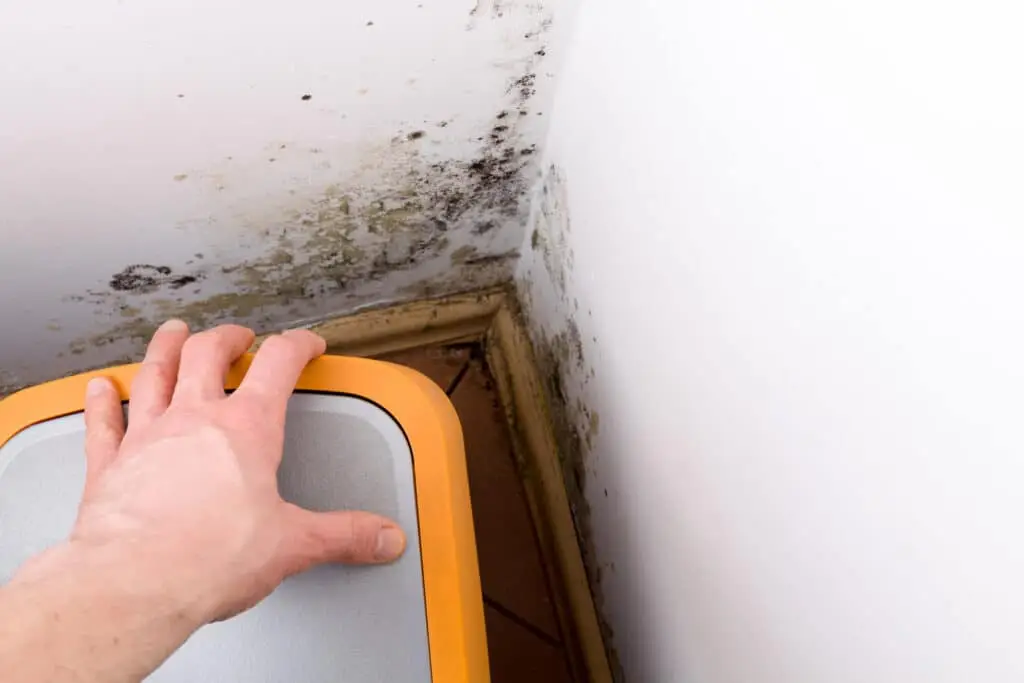 A hand moves a small piece of furniture in the corner of a room, revealing black mold and mildew on the lower part of the white walls and baseboard—an issue often uncovered during a thorough home inspection.