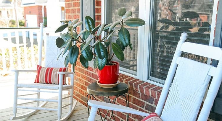 A front porch with two white rocking chairs and striped cushions, a small round table holding a potted rubber plant in a red pot, and a brick wall featuring a cozy window.