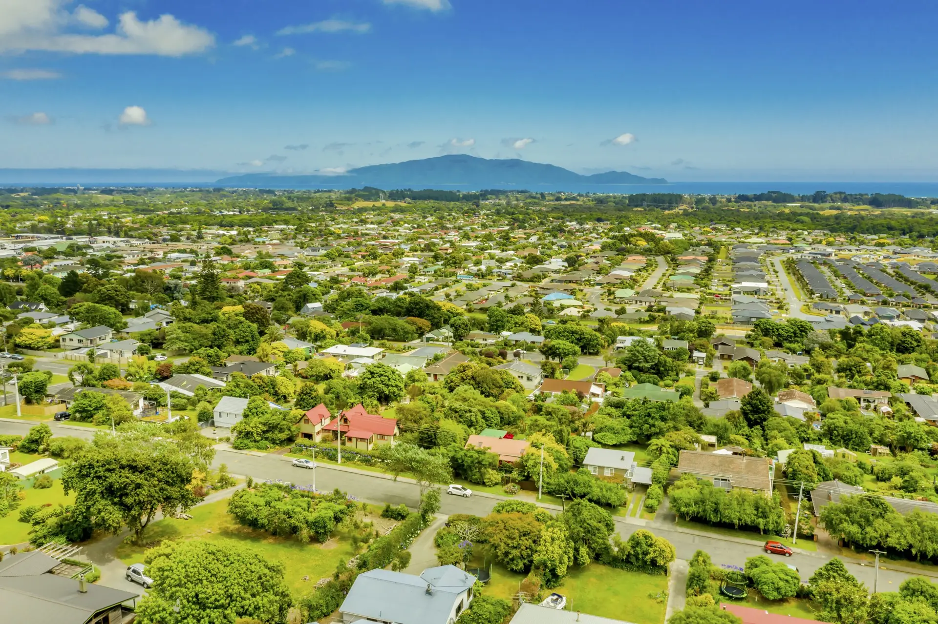 Aerial view of a suburban neighborhood with houses surrounded by greenery, trees, and gardens; a distant coastline and mountains are visible under a blue sky—ideal scenery for a Houston home inspection.