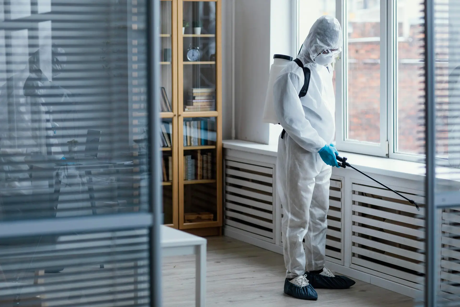 A person in full protective gear, including a white hazmat suit, gloves, mask, and shoe covers, sprays disinfectant inside a bright room with large windows and bookshelves—demonstrating professional pest control to eliminate rodents in my attic.