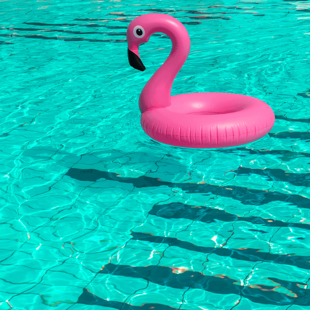 A pink inflatable flamingo float drifts on the clear blue water of a swimming pool. Sunlight creates rippling patterns across the pool floor and float—perfect for relaxing after searching for pool inspections near me.