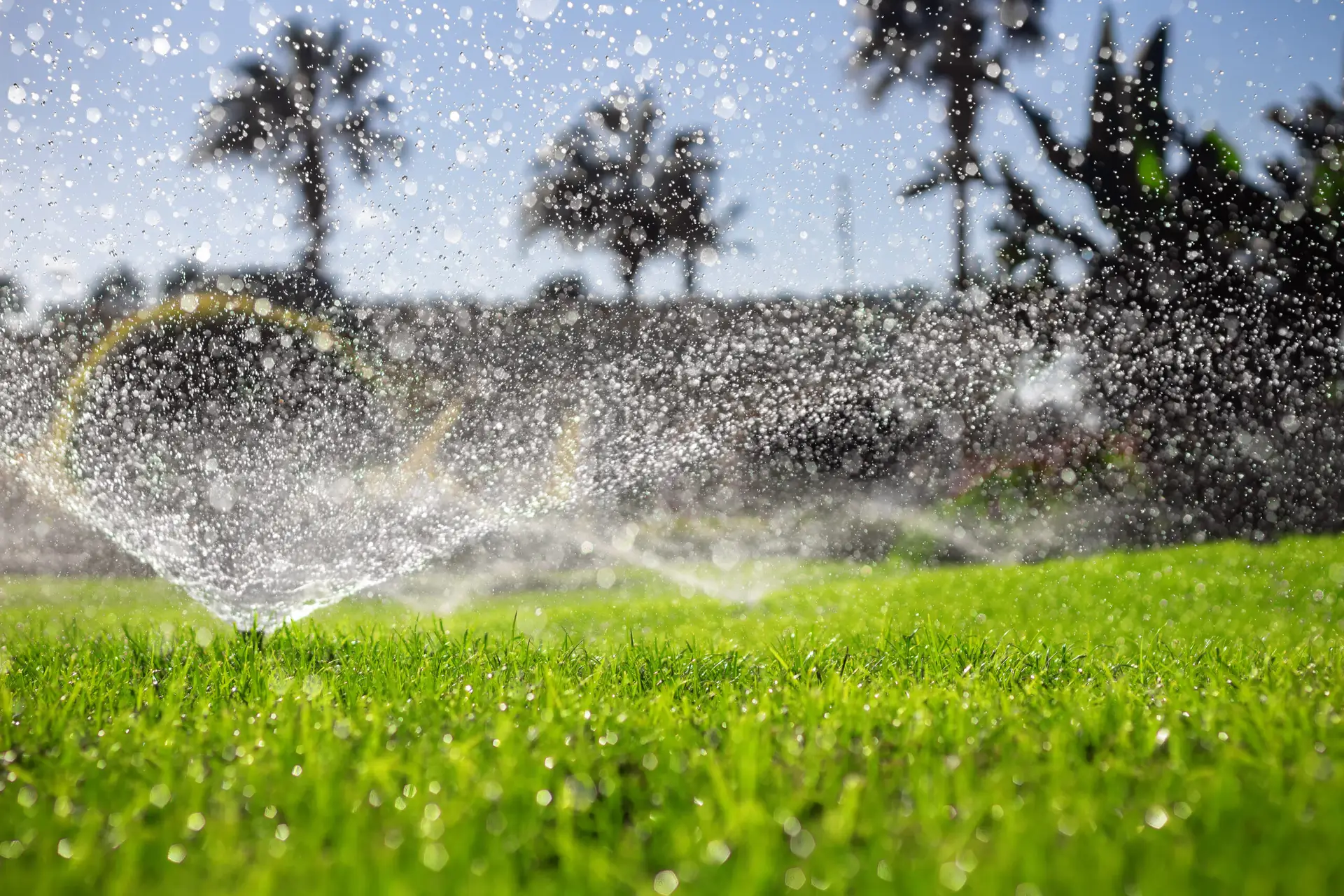 Water sprays from sprinklers over a vibrant green lawn on a sunny day at a Houston home inspector’s property, with palm trees and a clear blue sky in view.