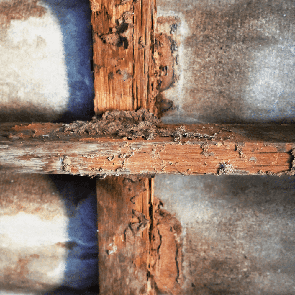 Close-up of wooden beams extensively damaged by termites, showing crumbling, hollowed-out wood and highlighting the need for termite treatment against further structural damage.
