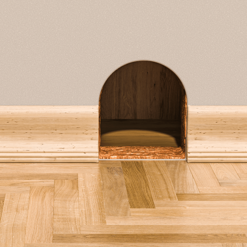 rodent control near me techniques