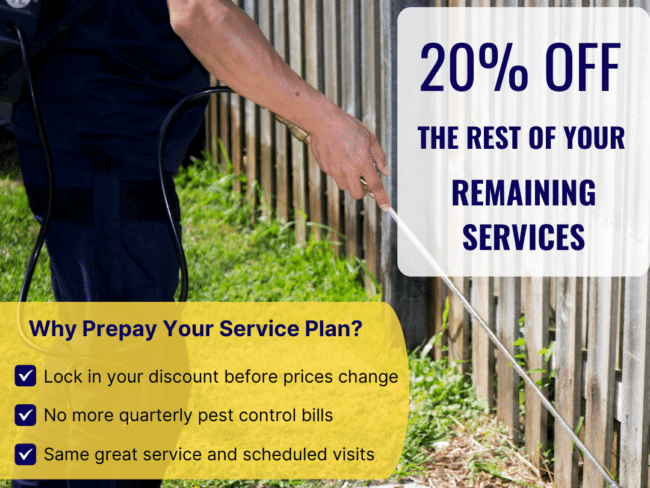 20% Discount on Annual Pest Control Plan + FREE Gift